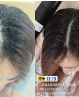 客户案例12